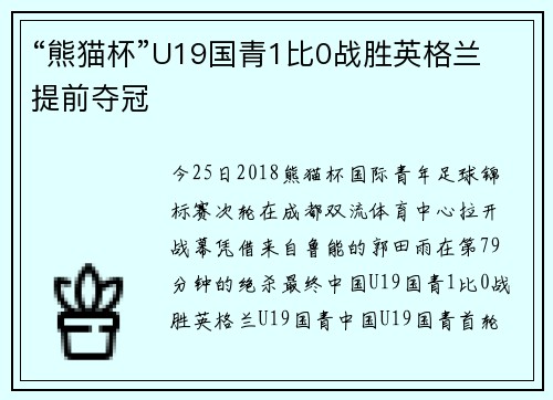 “熊猫杯”U19国青1比0战胜英格兰 提前夺冠